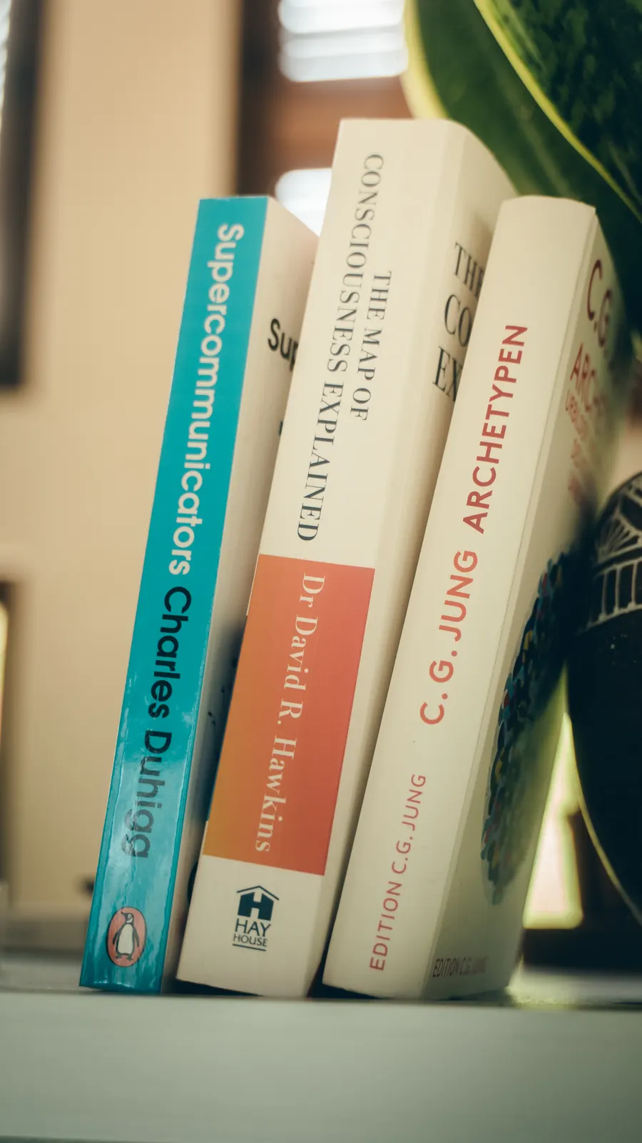 Bücher über Archetypen und Kommunikation auf einer Fensterbank.